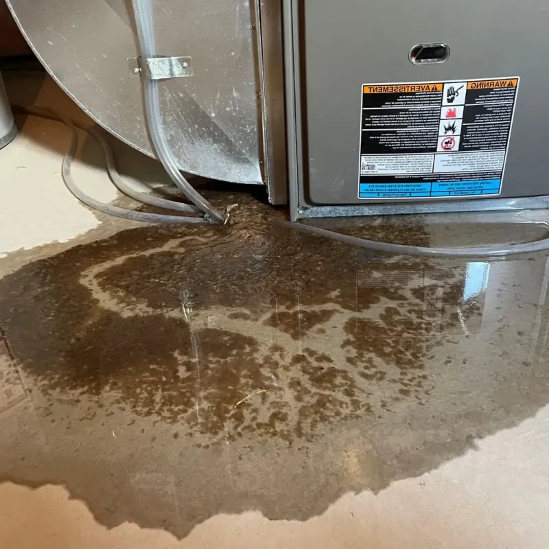 Pipe Burst and Leak Restoration in Sheridan County, NE